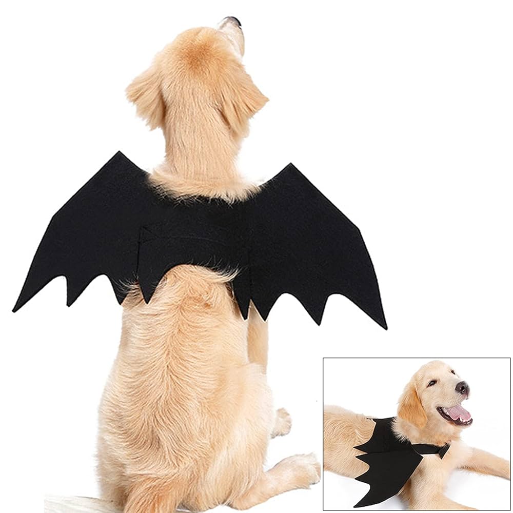 Disfraz Halloween para mascotas