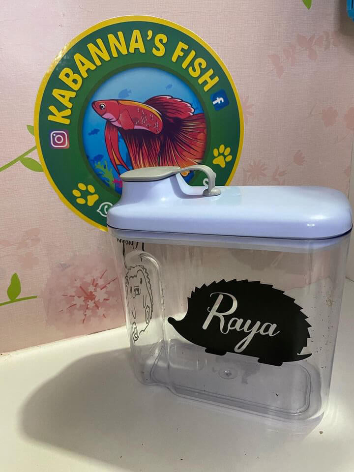 Contenedor de alimento personalizado