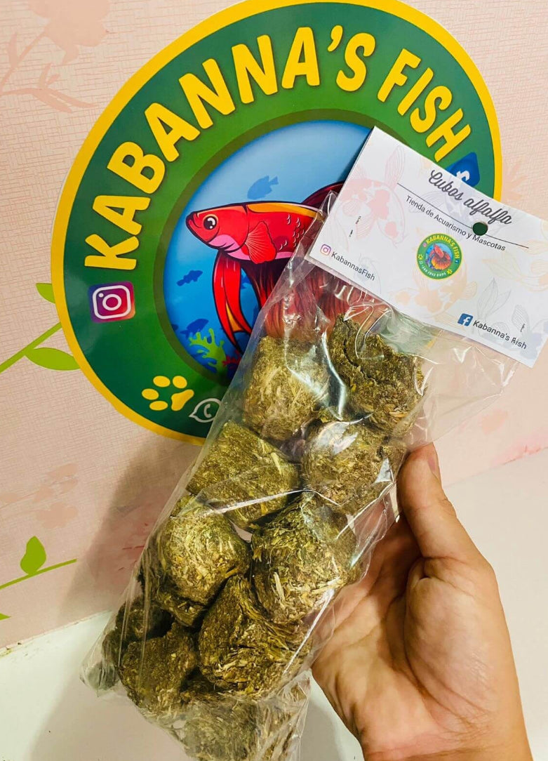 Cubos de alfalfa • Snack cuy y conejos