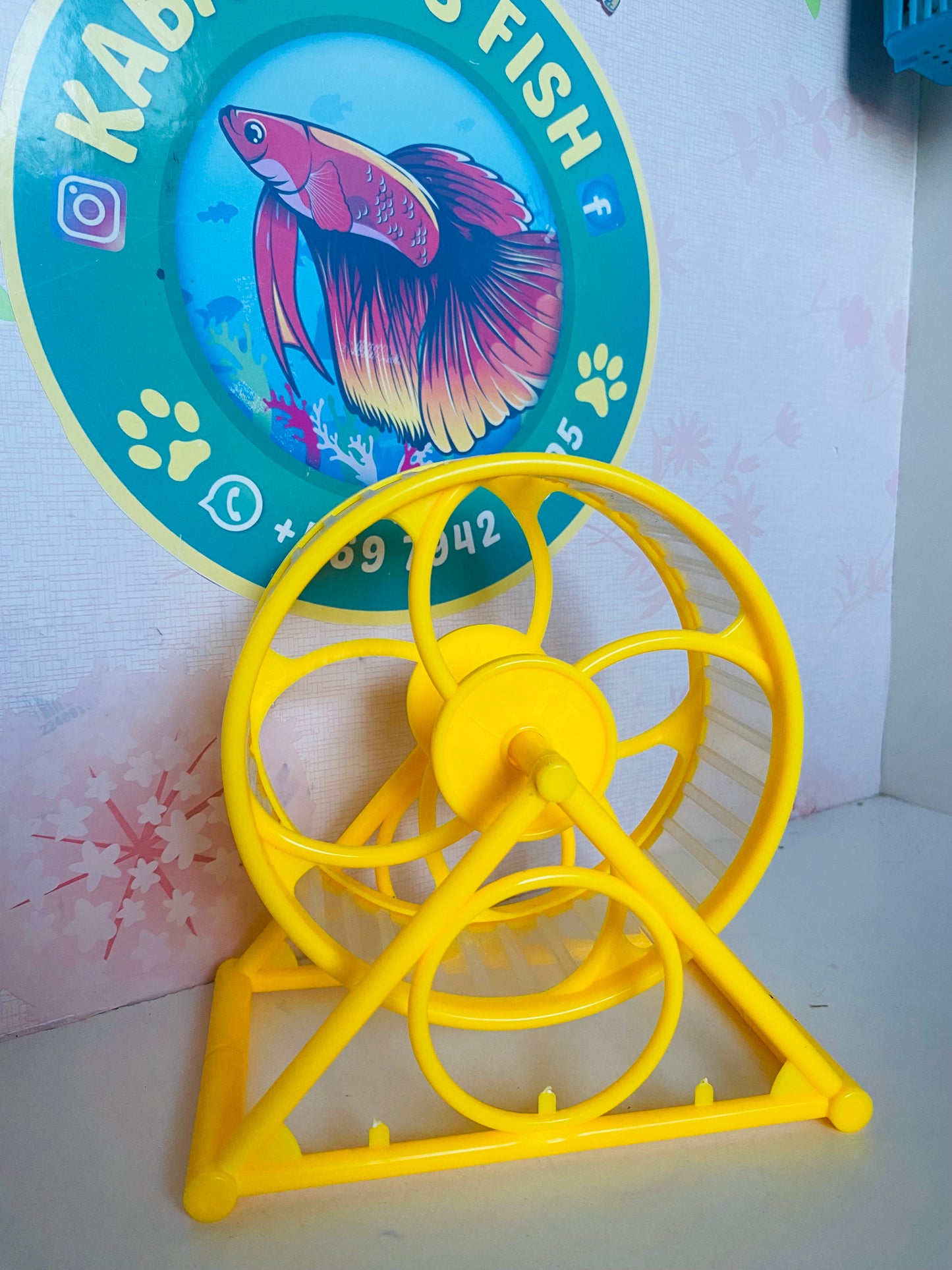 Rueda para mini MASCOTA