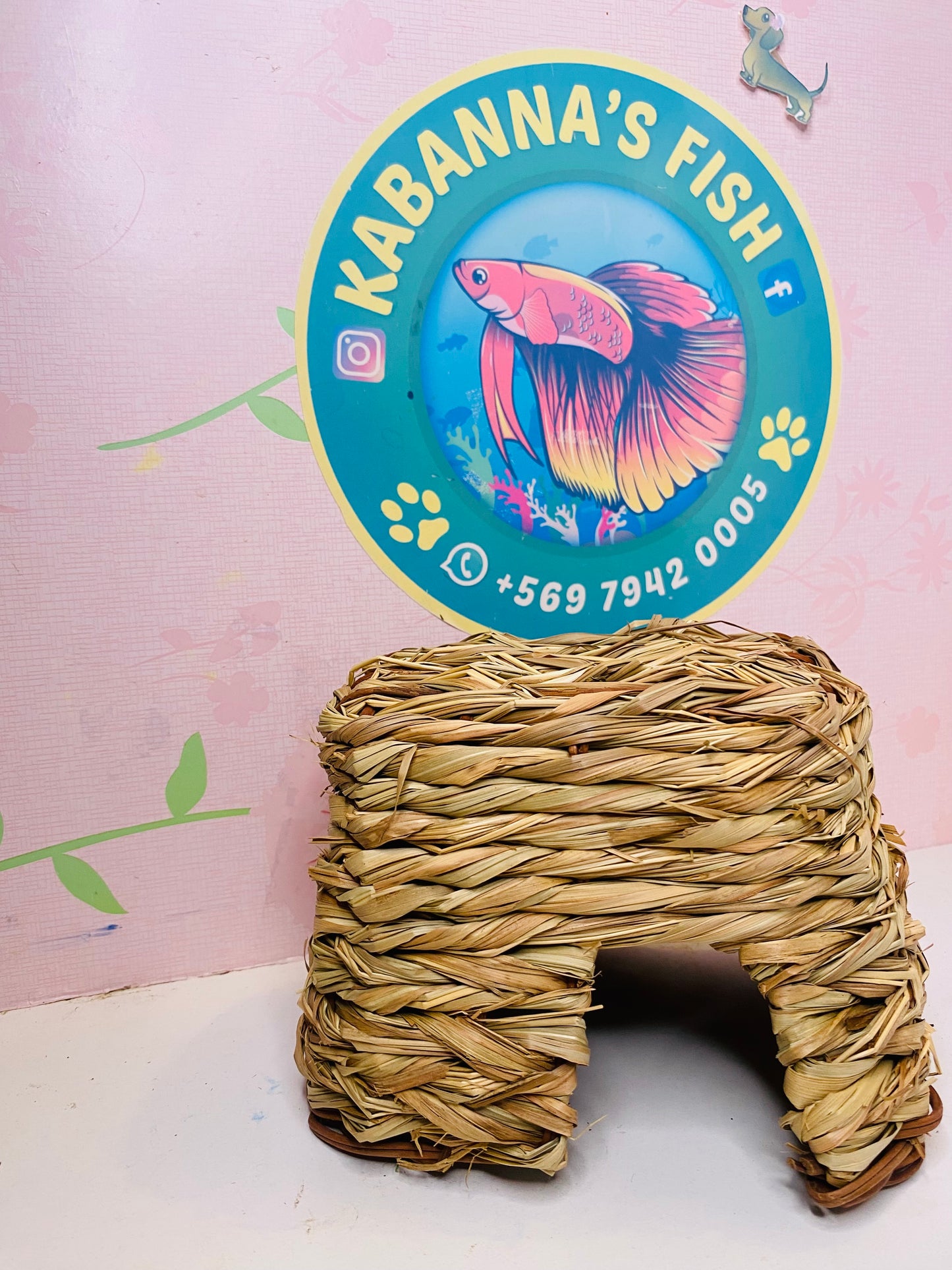 Casa fibra vegetal - Especial mini mascotas
