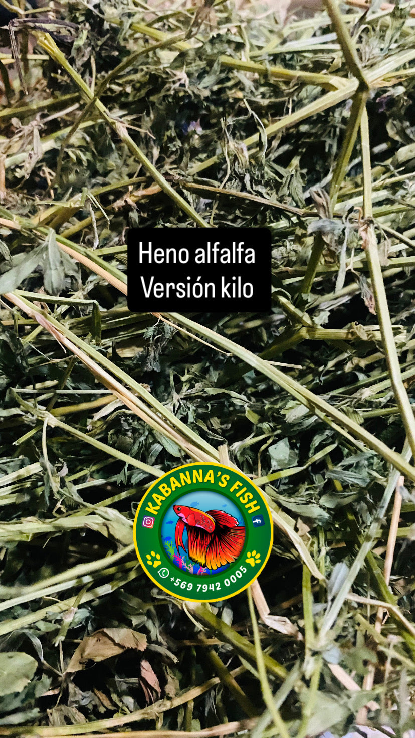 Heno alfalfa • versión 1K