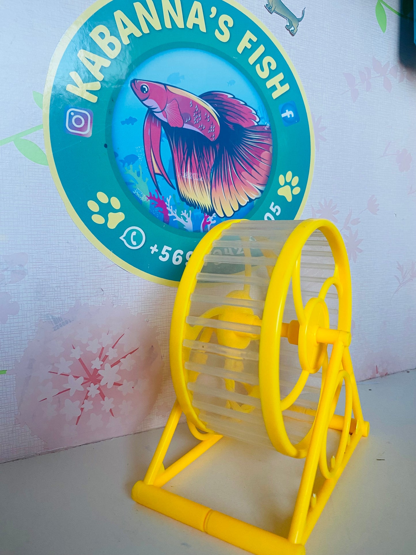 Rueda para mini MASCOTA