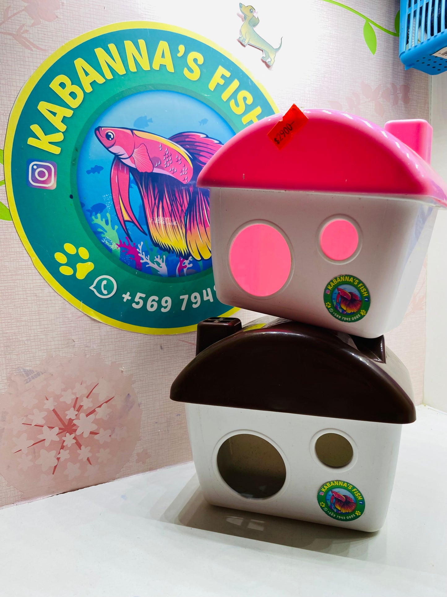 Mini Casitas para pequeñas mascotas