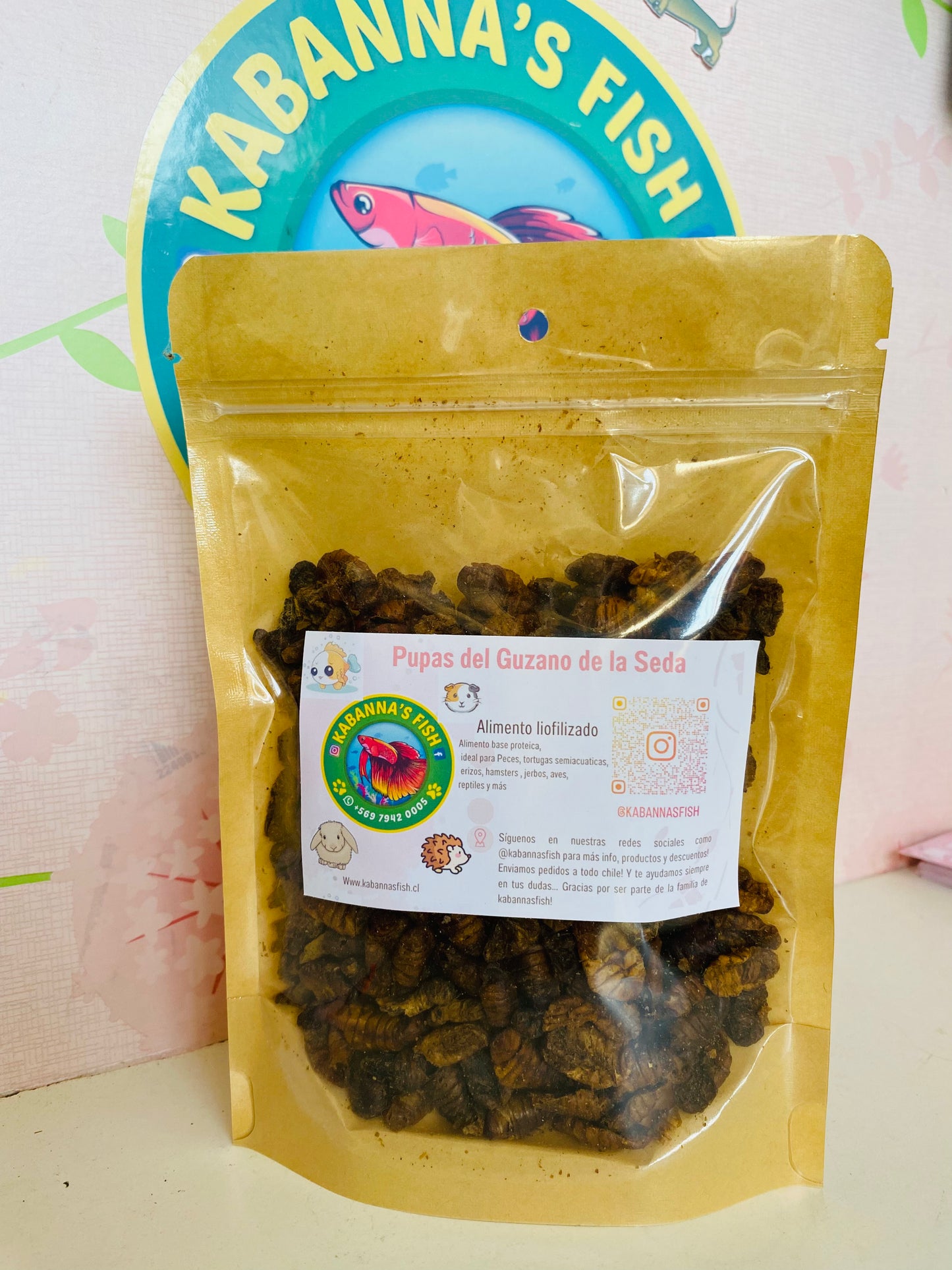 Pupas del guzano de la seda