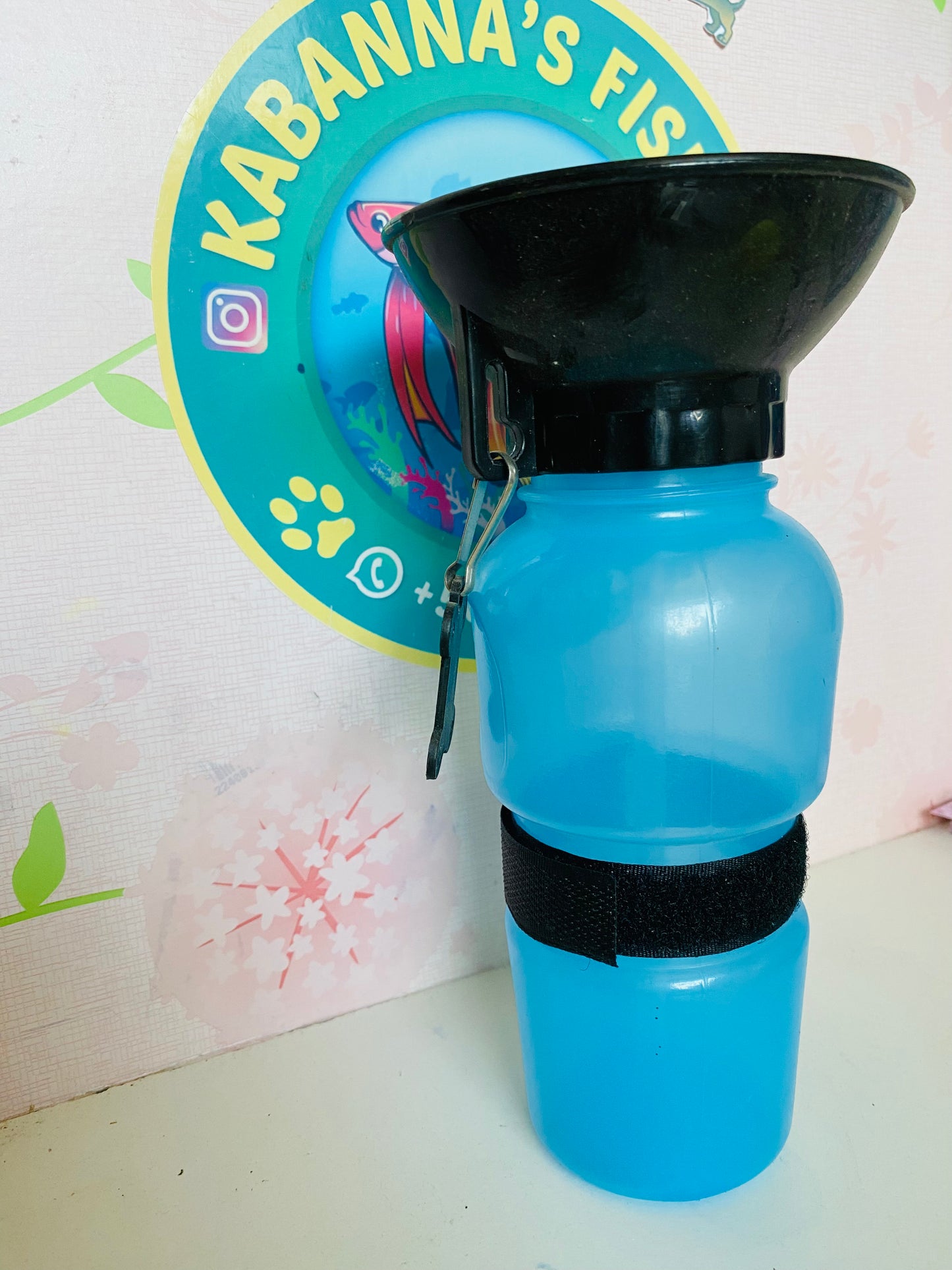 Botella de paseo + plato