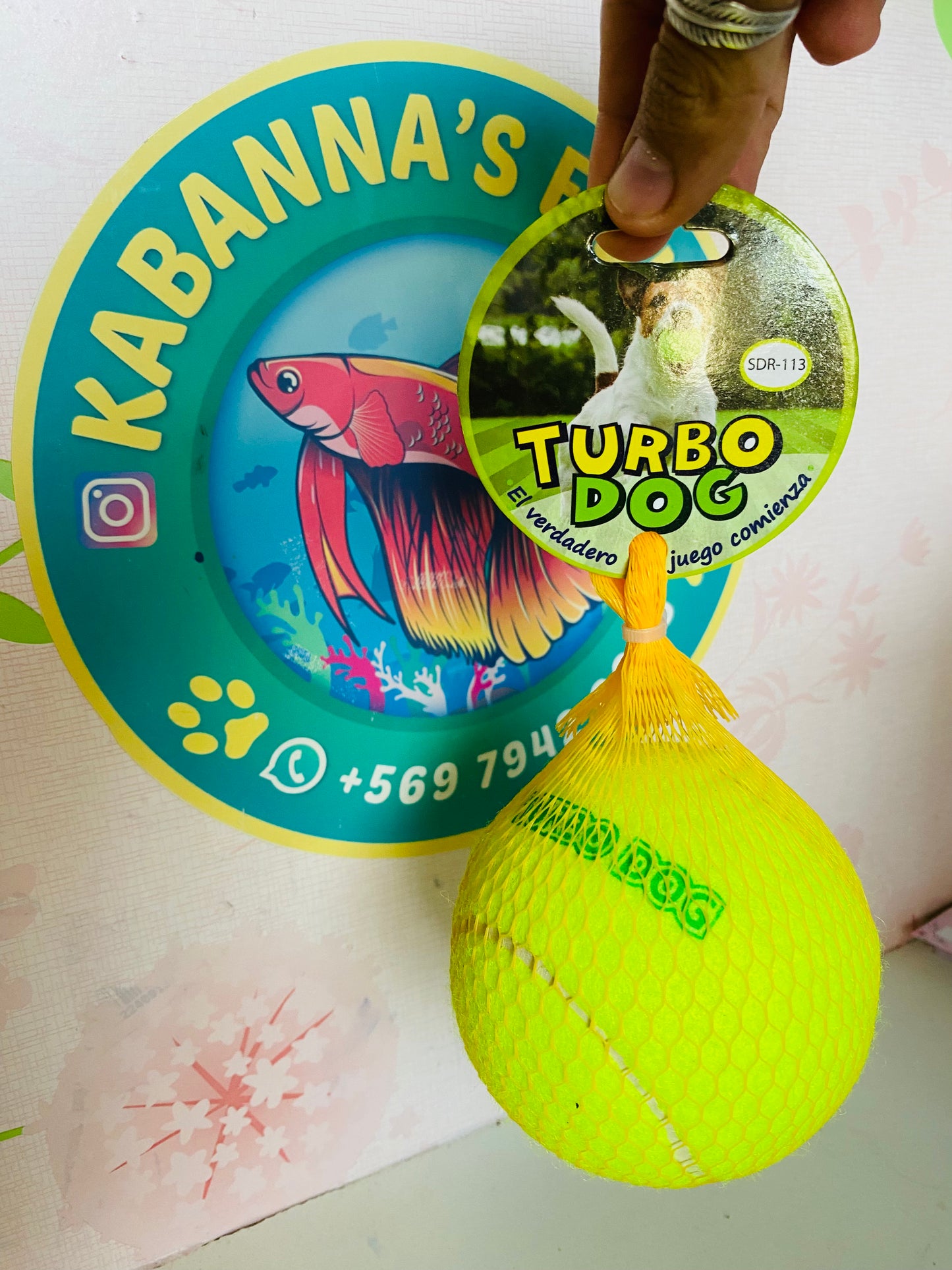 Pelota tenis XL turbo dog