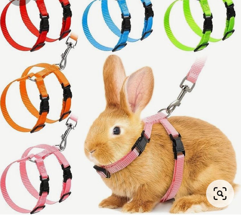 Arnes , pechera para conejos y cuy