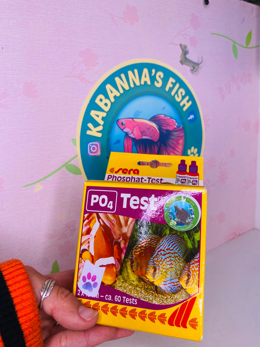 Test Po4 - fosfato