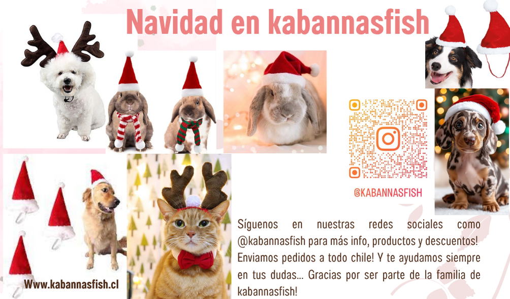 Sombrero Navideño - Outfit mascotas