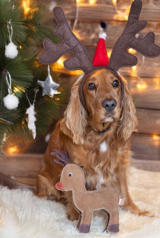 Sombrero Navideño - Cuernitos - Reno para mascotas
