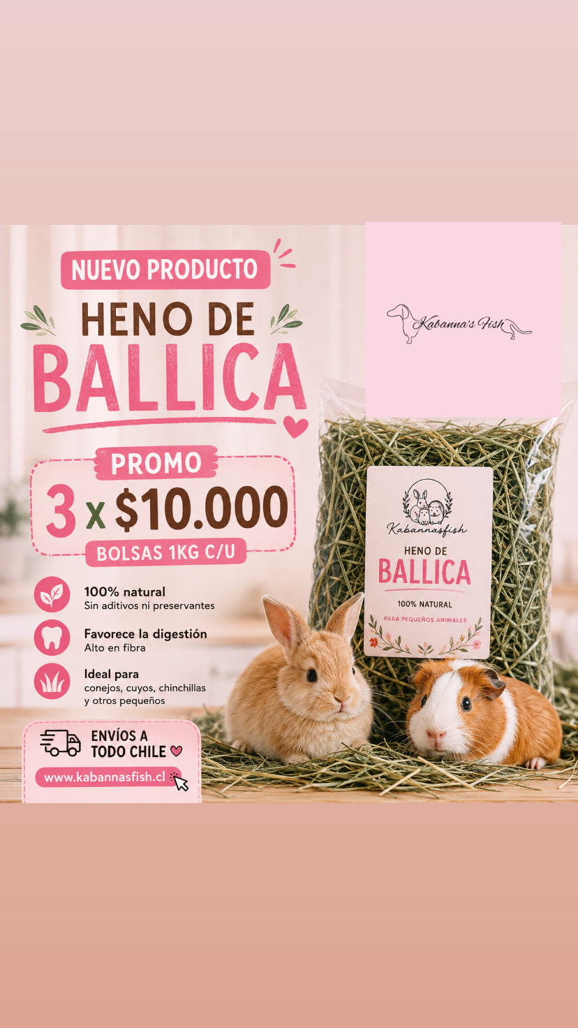 Heno Ballica • Huerto orgánico