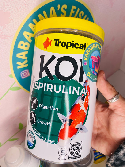 Alimento  koi Spirulina  - pellet flotante
