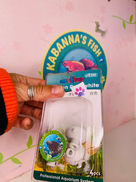 Ventosas para acuario