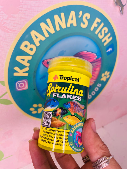 Alimento  espirulina• Spirulina Flakes