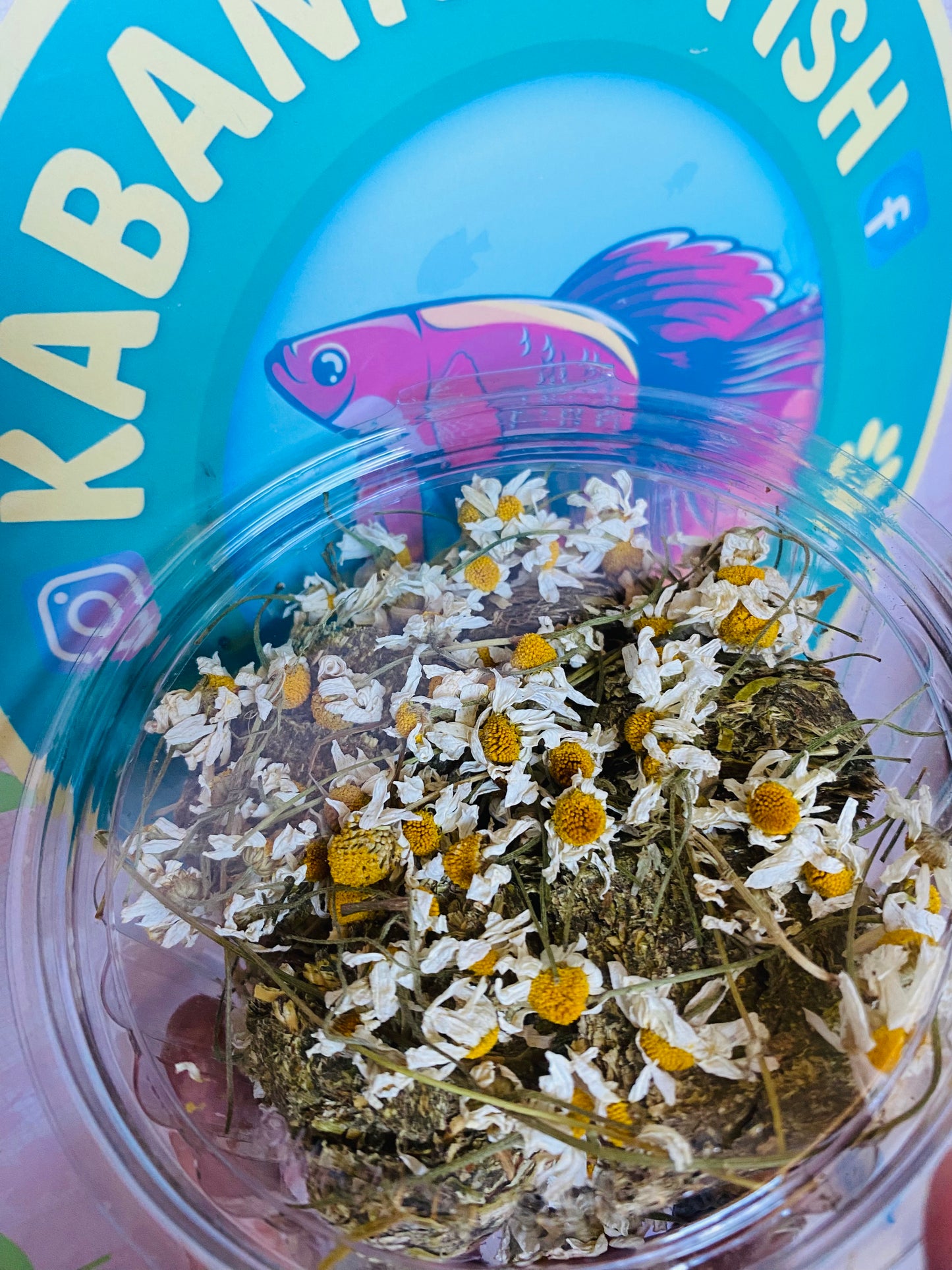 Cubos Alfalfa con Sabor