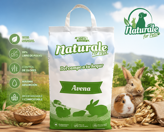 Heno de avena