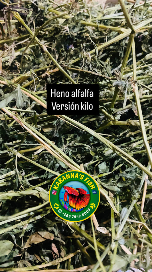 Heno alfalfa • versión 1K