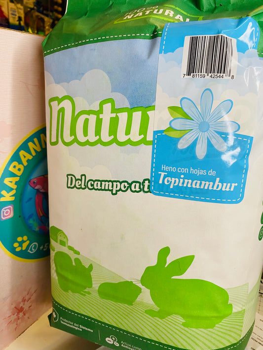 Heno Ballica • Topinambur