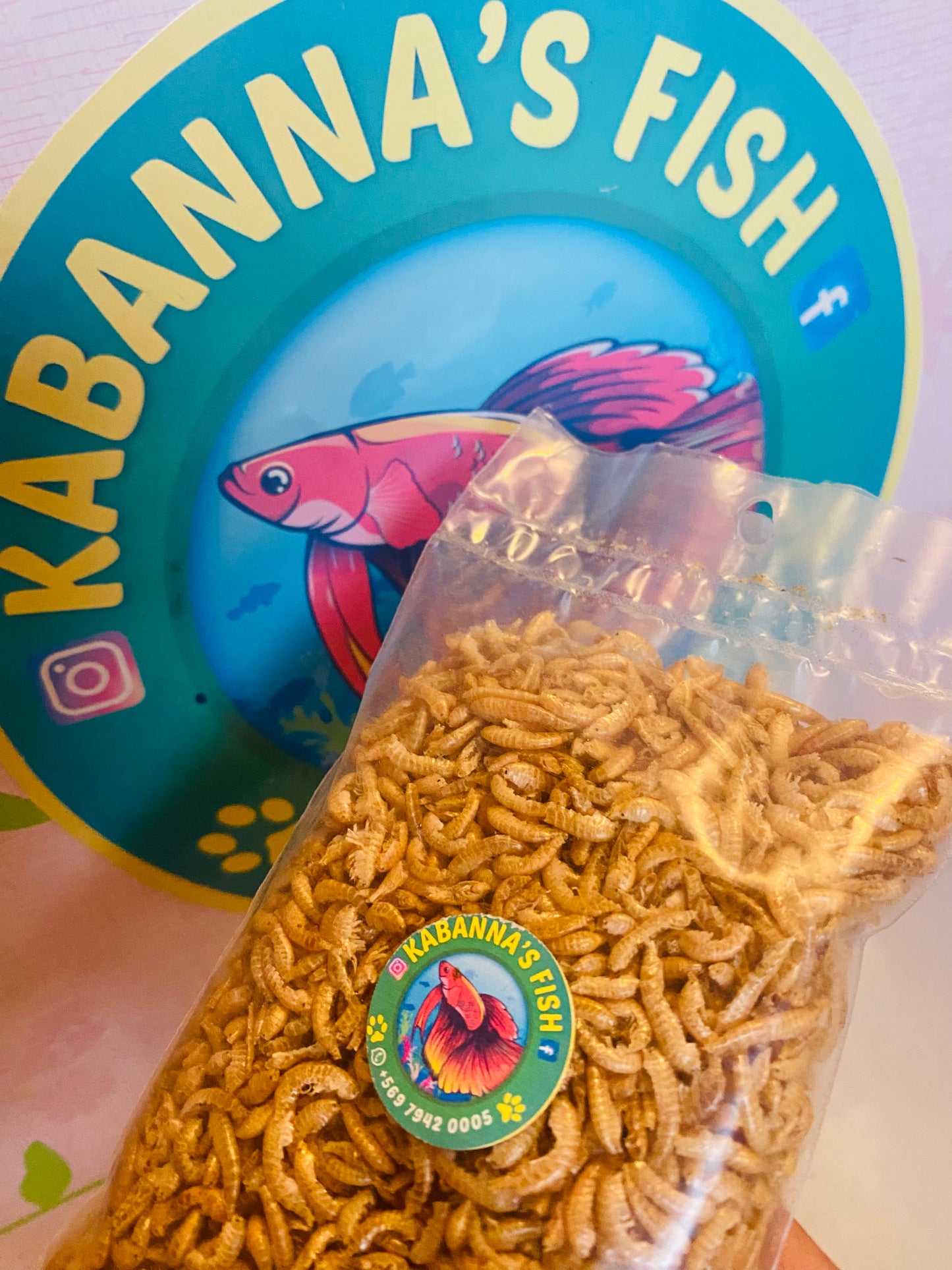 Alimento camarón • gammarus para  tortuga acuática