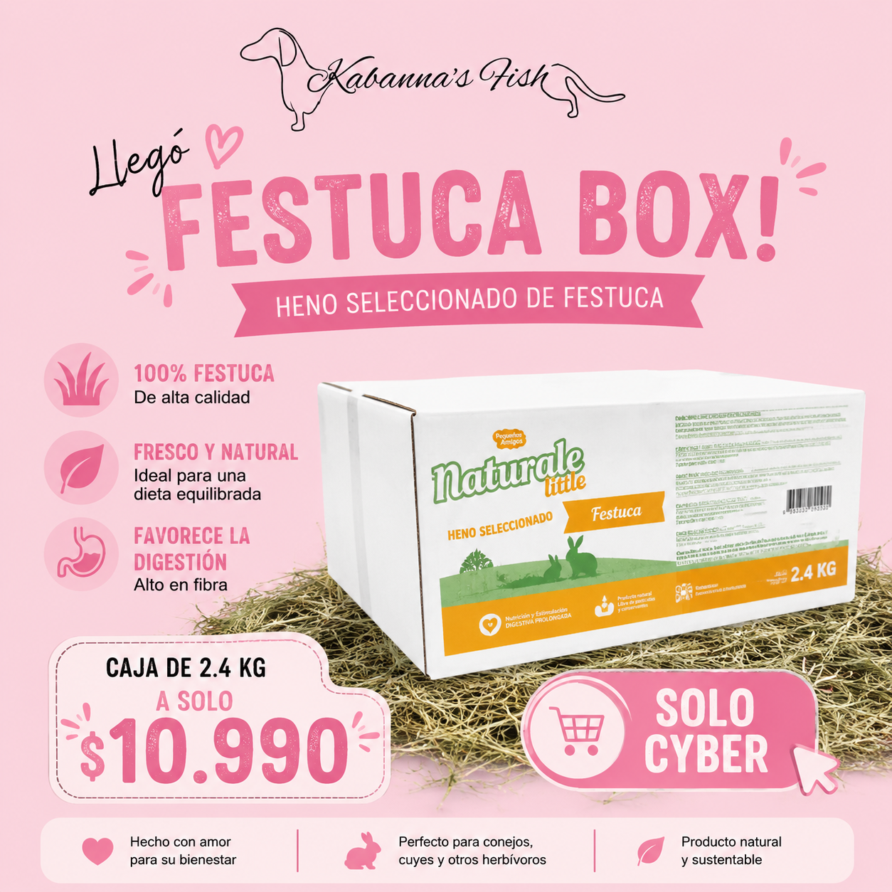 Heno festuca